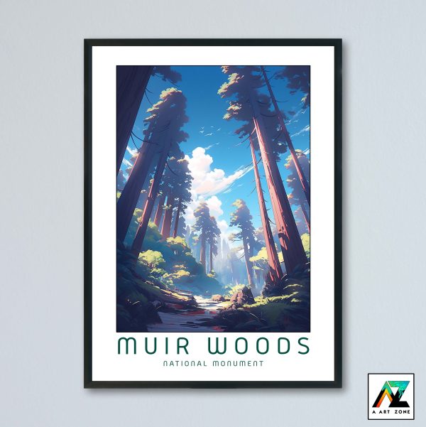 Muir Woods National Monument Mill Valley California USA - National Monument Scenery Artwork