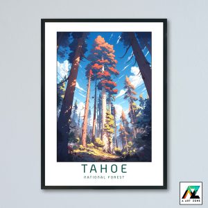 Tahoe National Forest Nevada City California USA - National Forest Scenery Artwork
