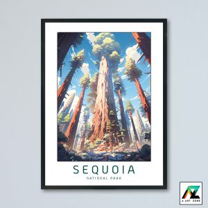 Nature's Canopy: Framed Artwork Showcasing Sequoia's Majesty