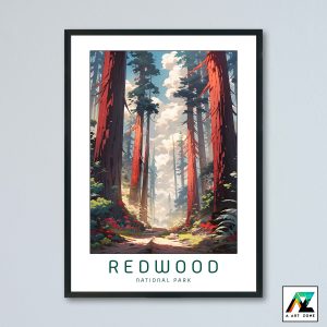 Iconic Woodlands: Redwood National Park Framed Wall Symphony