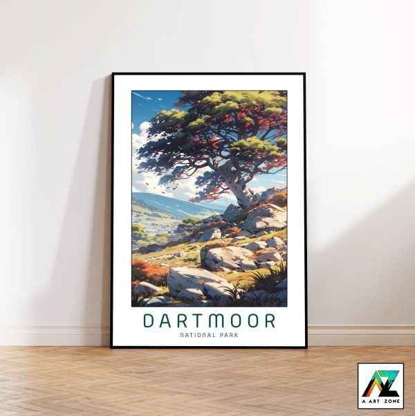 United Kingdom Wilderness: Framed Wall Art of Dartmoor National Park